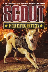 Cover Scout: Firefighter