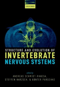 Cover Structure and Evolution of Invertebrate Nervous Systems