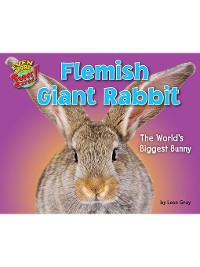 Cover Flemish Giant Rabbit