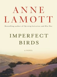 Cover Imperfect Birds