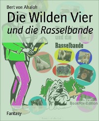 Cover Die Wilden Vier