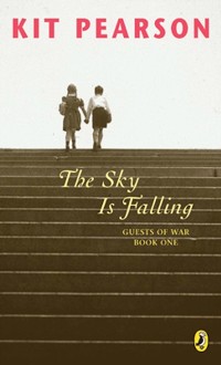 Cover Sky Is Falling