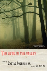 Cover Devil in the Valley