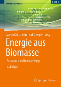 Cover Energie aus Biomasse