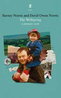 Cover The Wellspring