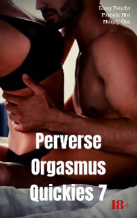 Cover Perverse Orgasmus Quickies 7