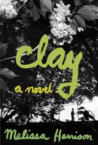 Cover Clay