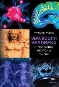 Cover Эволюция человека. Кн. 2. Обезьяны, нейроны и душа