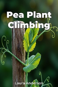 Cover Pea Plant Climbing