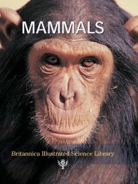 Cover Mammals