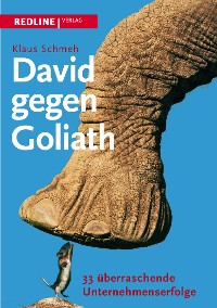 Cover David gegen Goliath