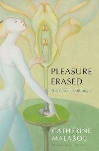Cover Pleasure Erased