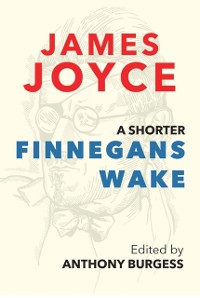 Cover Shorter Finnegans Wake