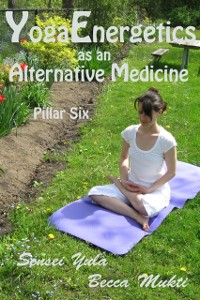 Cover Yoga Energetics as an Alternative Medicine: Pillar Six