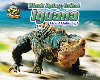 Cover Black Spiny-Tailed Iguana