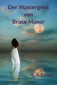 Cover Der Wassergeist von Bruce Manor