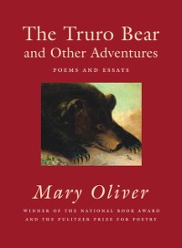 Cover Truro Bear and Other Adventures