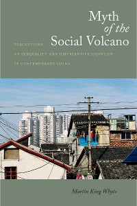 Cover Myth of the Social Volcano
