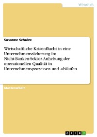 Cover Wirtschaftliche Krisenflucht in eine Unternehmenssicherung im Nicht-Banken-Sektor. Anhebung der operationellen Qualität in Unternehmensprozessen und -abläufen