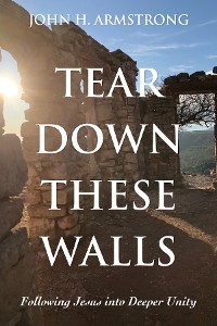 Cover Tear Down These Walls