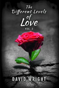 Cover The Different Levels of Love, Volume 2