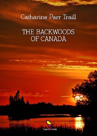Cover The backwoods of Canada
