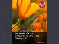 Cover Power of Color in Nature and Landscape Photography, The