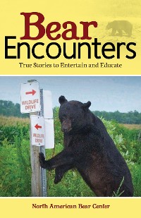 Cover Bear Encounters