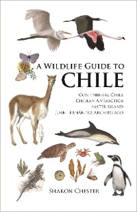 Cover A Wildlife Guide to Chile