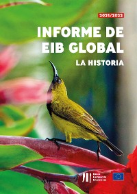 Cover Informe de EIB Global: La historia