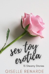 Cover Sex Toy Erotica