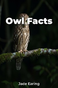 Cover Owl Facts