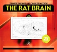 Cover Rat Brain in Stereotaxic Coordinates