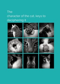 Cover character of the cat, keys to deciphering it