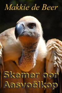 Cover Skemer oor Aasvoelkop