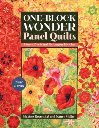 Cover One-Block Wonder Panel Quilts