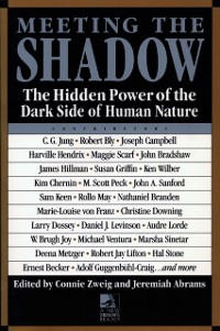 Cover Meeting the Shadow
