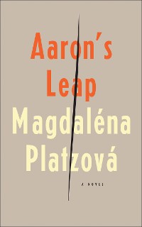 Cover Aaron's Leap