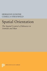 Cover Spatial Orientation