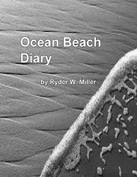 Cover Ocean Beach Diary