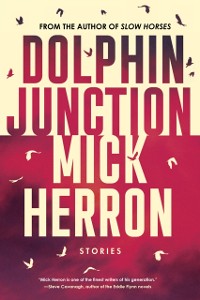 Cover Dolphin Junction: Stories