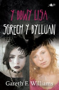 Cover Cyfres y Dderwen: Y Ddwy Lisa - Sgrech y Dylluan
