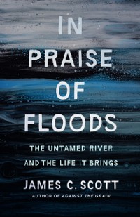 Cover In Praise of Floods