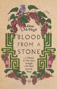 Cover Blood From a Stone