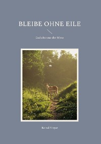 Cover Bleibe ohne Eile