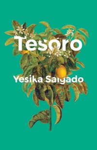 Cover Tesoro