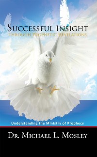Cover Successful Insight Through Prophetic Revelations