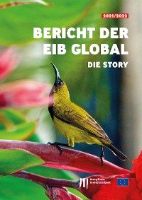 Cover Bericht der EIB Global: Die Story