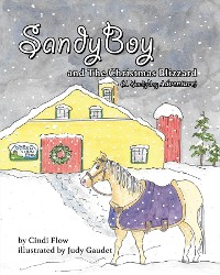 Cover SandyBoy and the Christmas Blizzard (A SandyBoy Adventure)