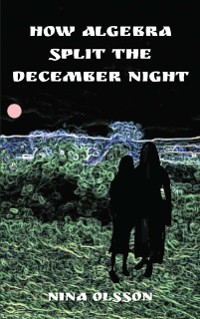 Cover How Algebra Split the December Night